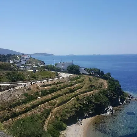Linaria Bay *